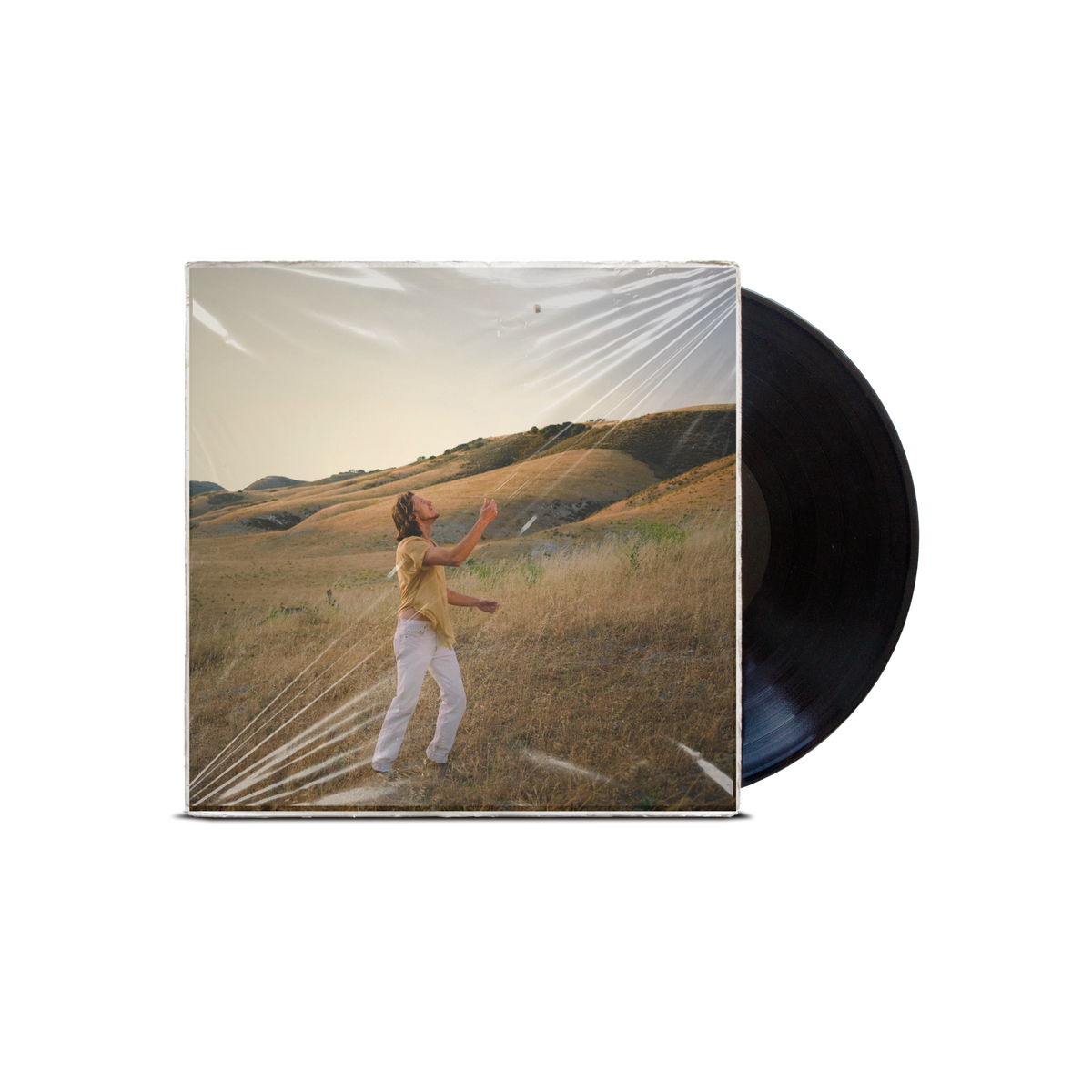 Like the Fruit Falls from the Tree Vinyl
